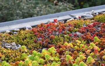 the cost of Hazlecross green roof installation