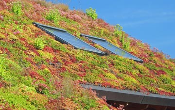 Hazlecross living roof systems
