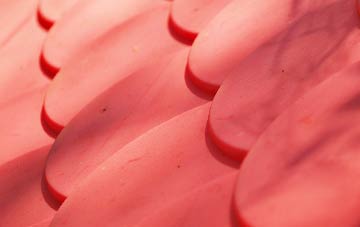 Hazlecross plastic roof costs